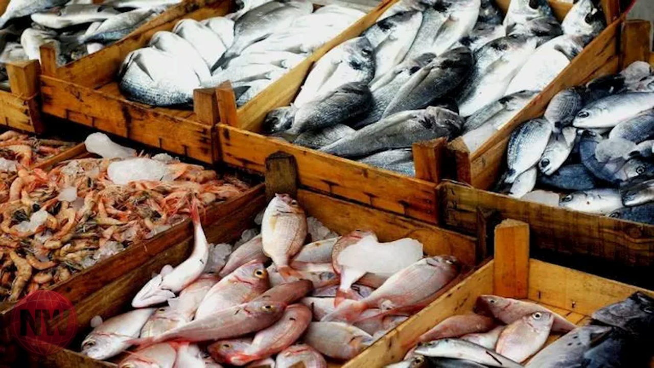 تباين أسعار المأكولات البحرية: الكابوريا ترتفع والمكرونة السويسي تنخفض