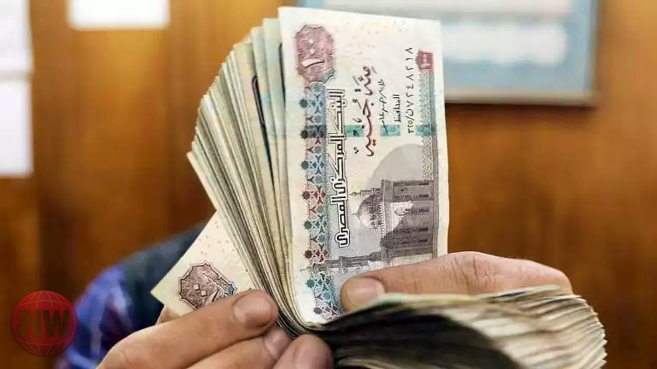 خفض الفائدة يدفع المدخرين نحو تنويع الاستثمارات في مصر