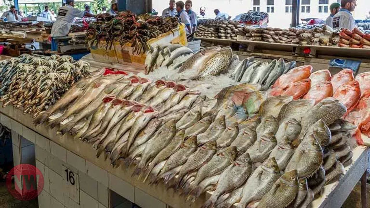 البلطي والكابوريا يتراجعان 3 و10 جنيهات بأسواق السمك اليوم