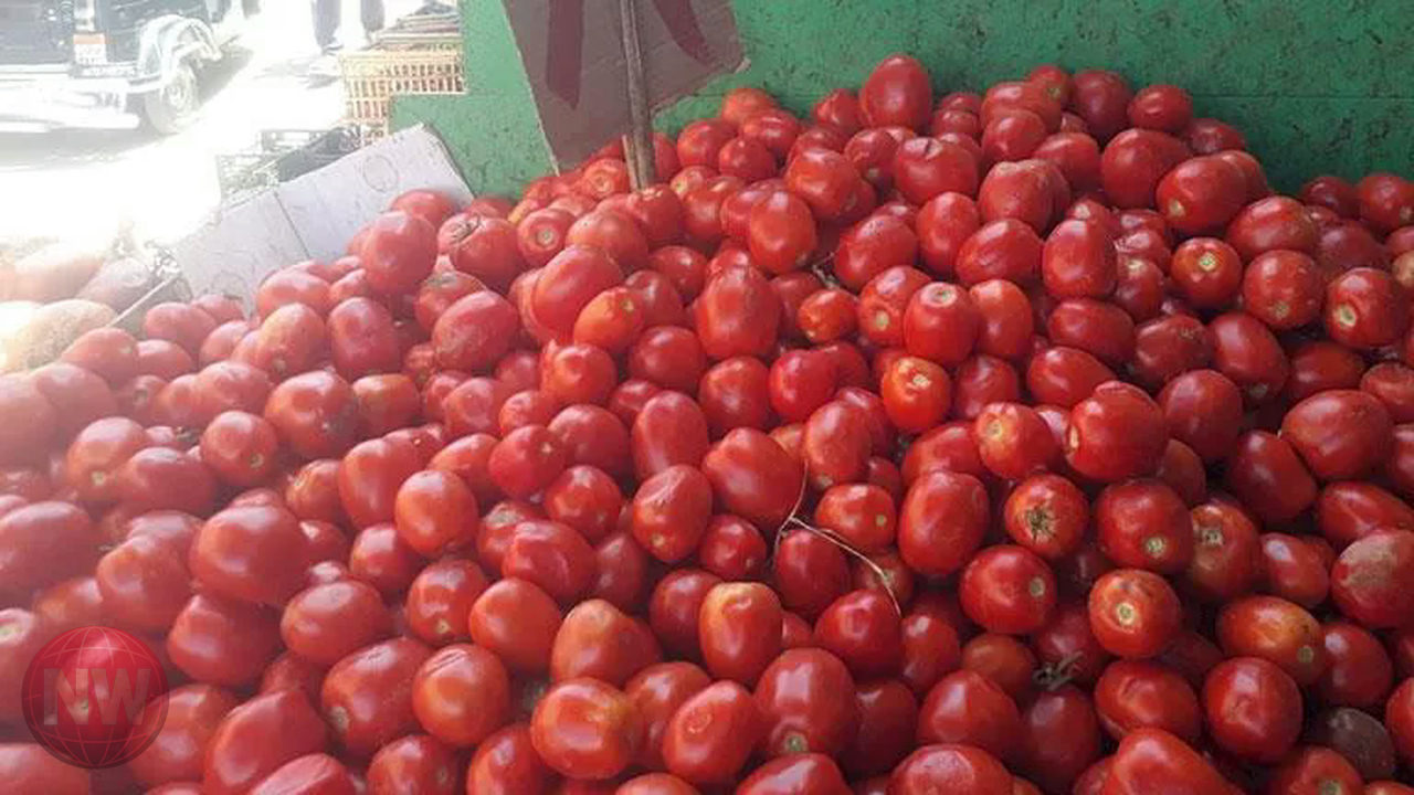 نقيب الفلاحين يكشف 5 أسباب لارتفاع أسعار الطماطم إلى 70 جنيهاً