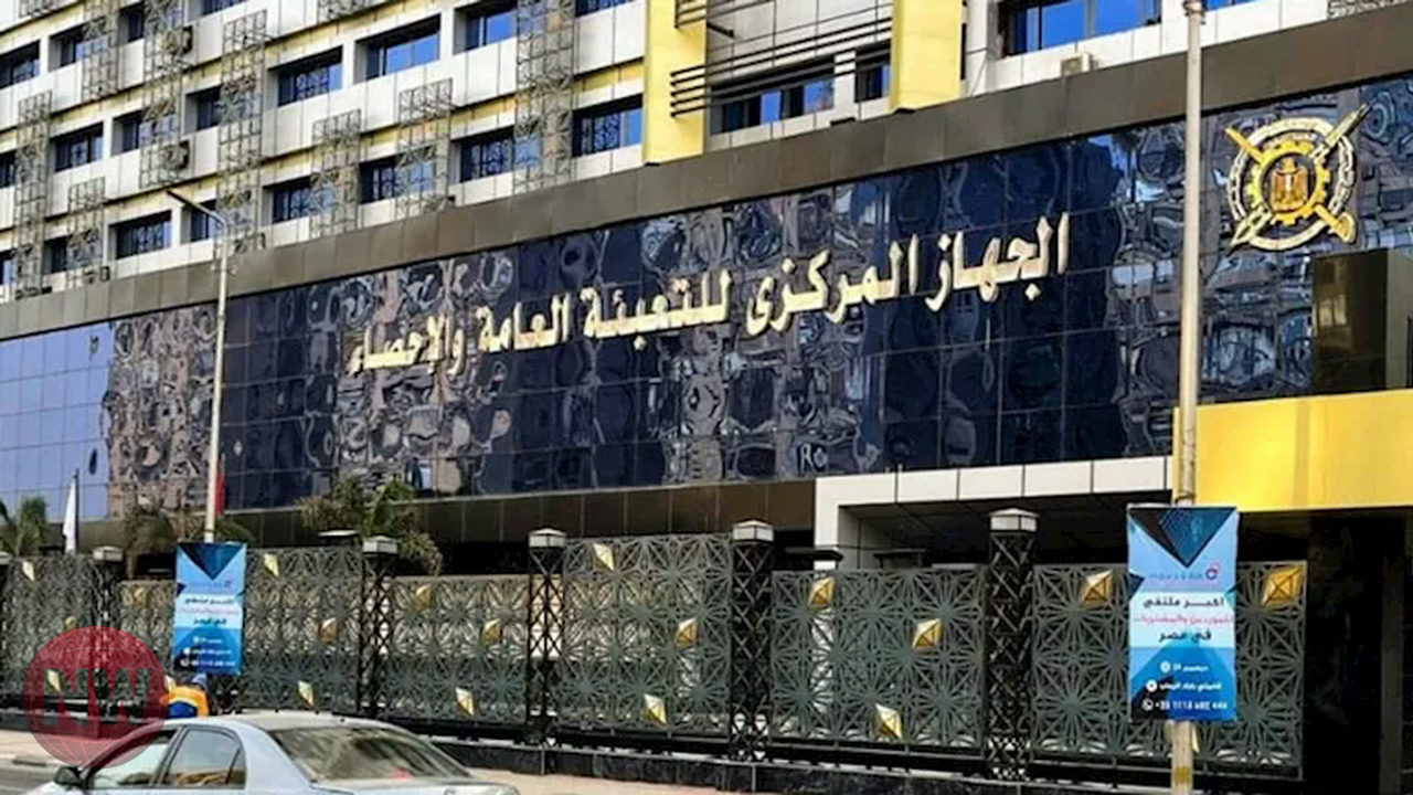 تراجع العمالة بالقطاع العام المصري 34 ألف موظف في 2025
