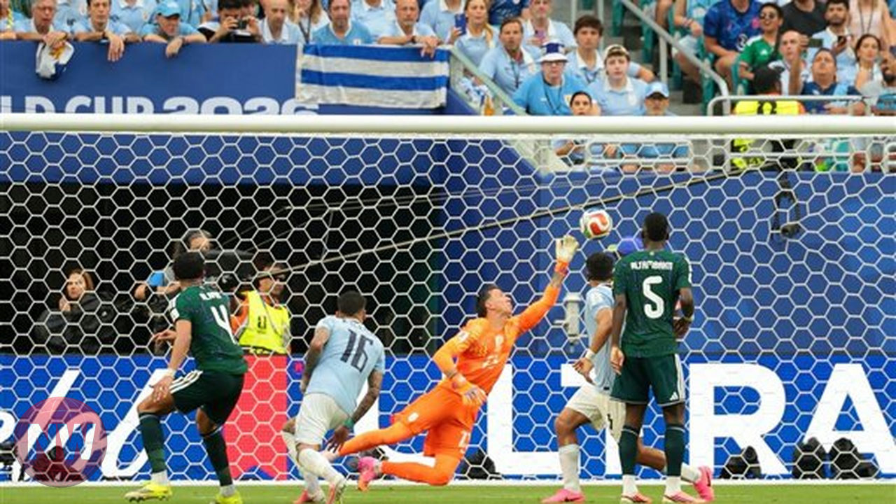 دونيس يعدل خطط السعودية لمواجهة إسبانيا في كأس العالم 2026