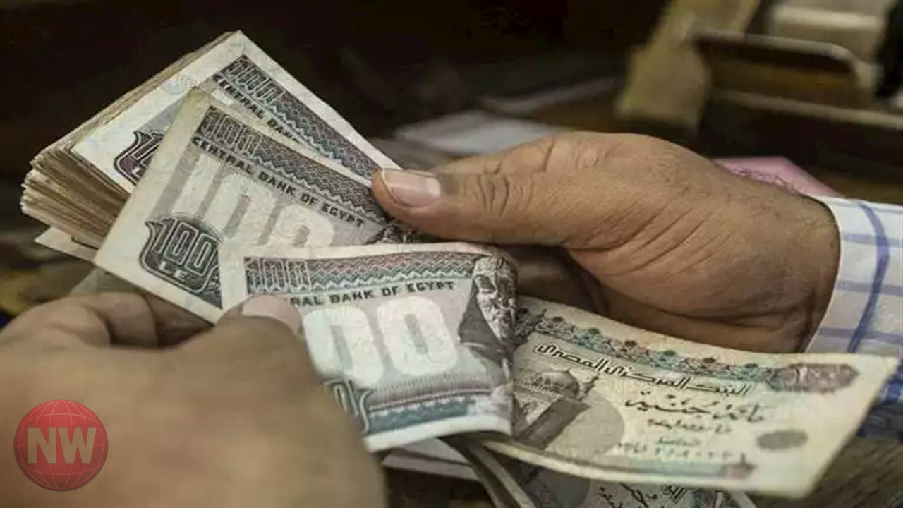 التأمينات الاجتماعية: حل مشكلات تأخر صرف المعاشات قريباً