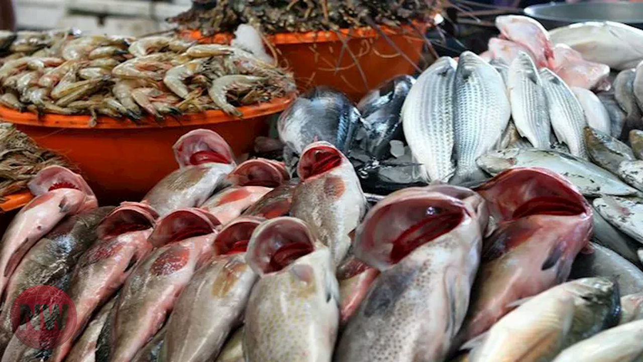 انخفاض أسعار المكرونة والبلطي اليوم في سوق العبور