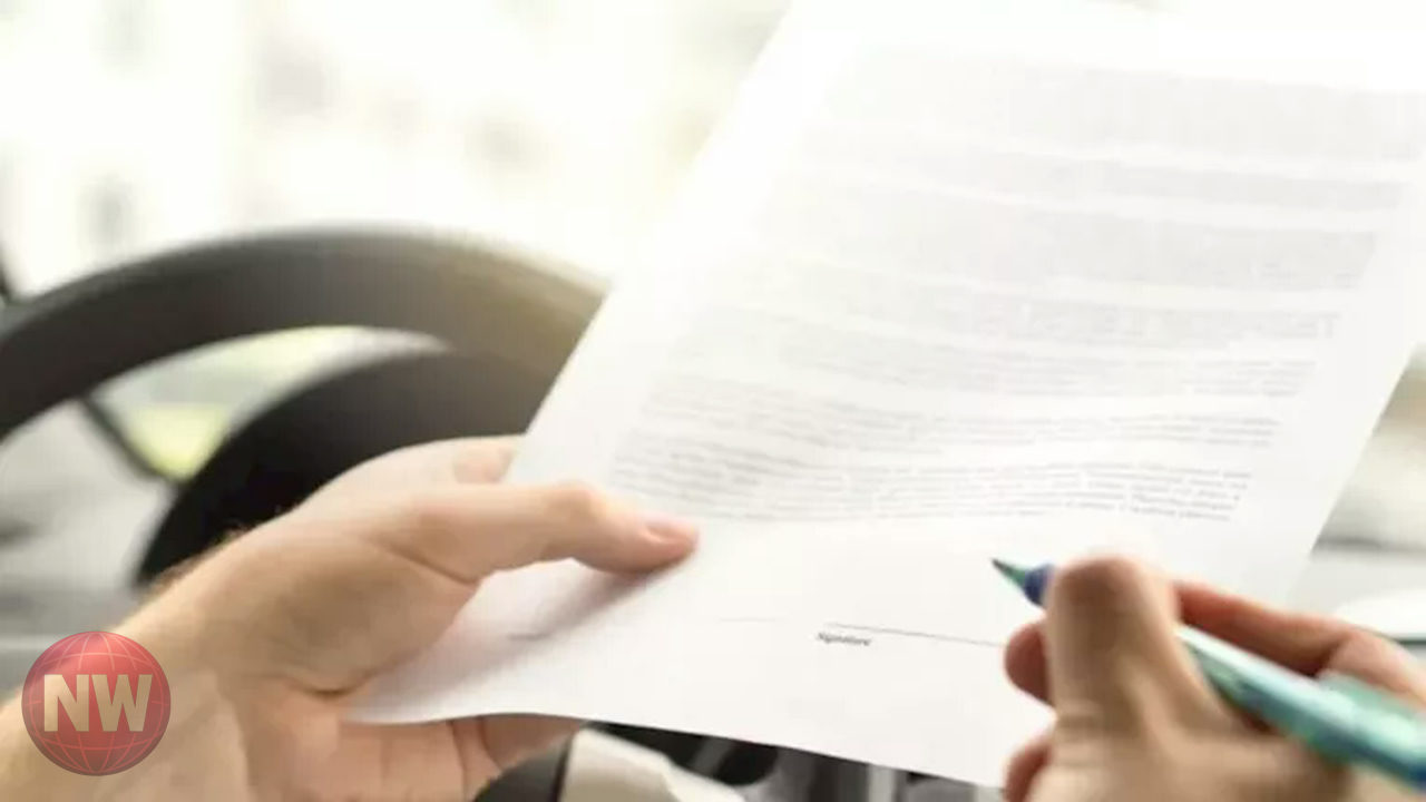 الرقابة المالية تطلق وثيقة تأمين للمصريين بالخارج بقسط 400 جنيه وتغطية الفصل التعسفي