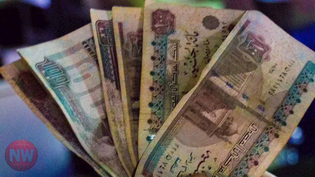 خبيران اقتصاديان يحددان معايير اختيار الوعاء الاستثماري المناسب في مصر