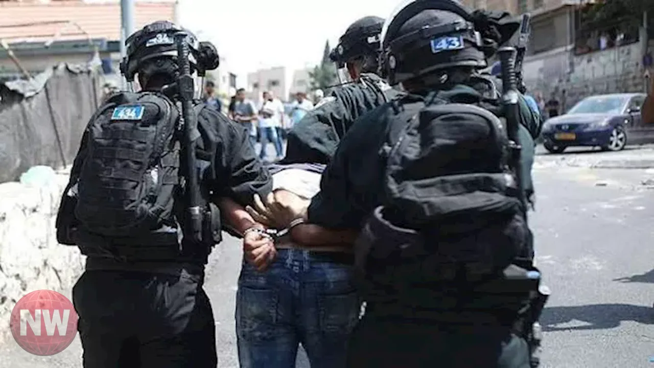 اعتقال 12 فلسطينياً في نابلس وجنين بالضفة الغربية