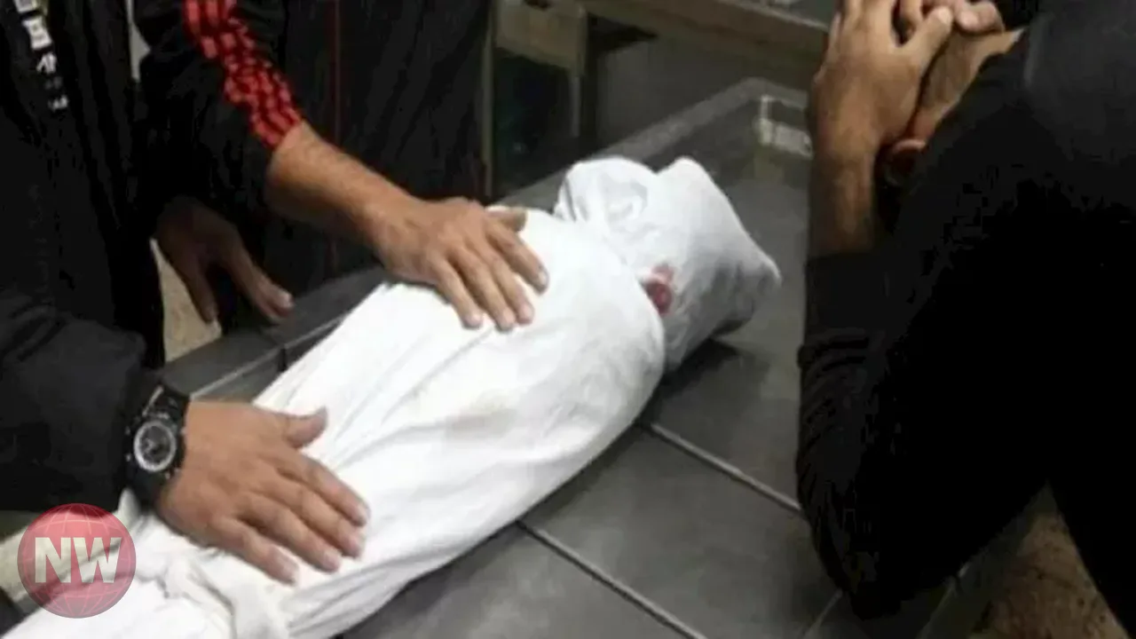 جريمة مروعة في الإسكندرية: زوجة تقتل شريك حياتها