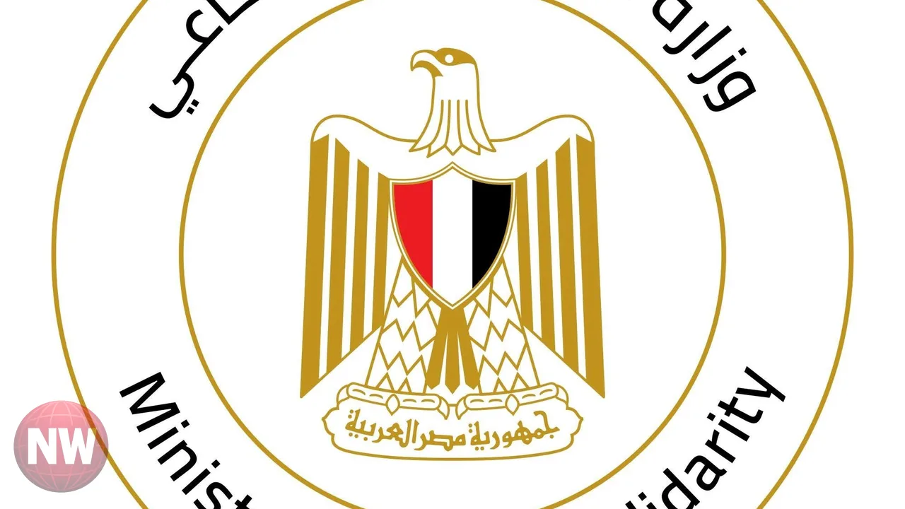 التضامن: رصد 250 حالة بلا مأوى في 9 محافظات