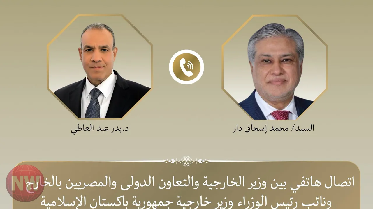 مصر وباكستان تبحثان جهود خفض التوتر في المنطقة