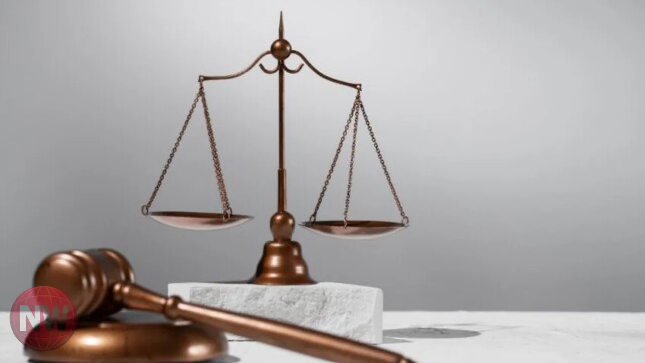 محاكمة موظف بالقاهرة بتهمة تزوير شهادة دكتوراه