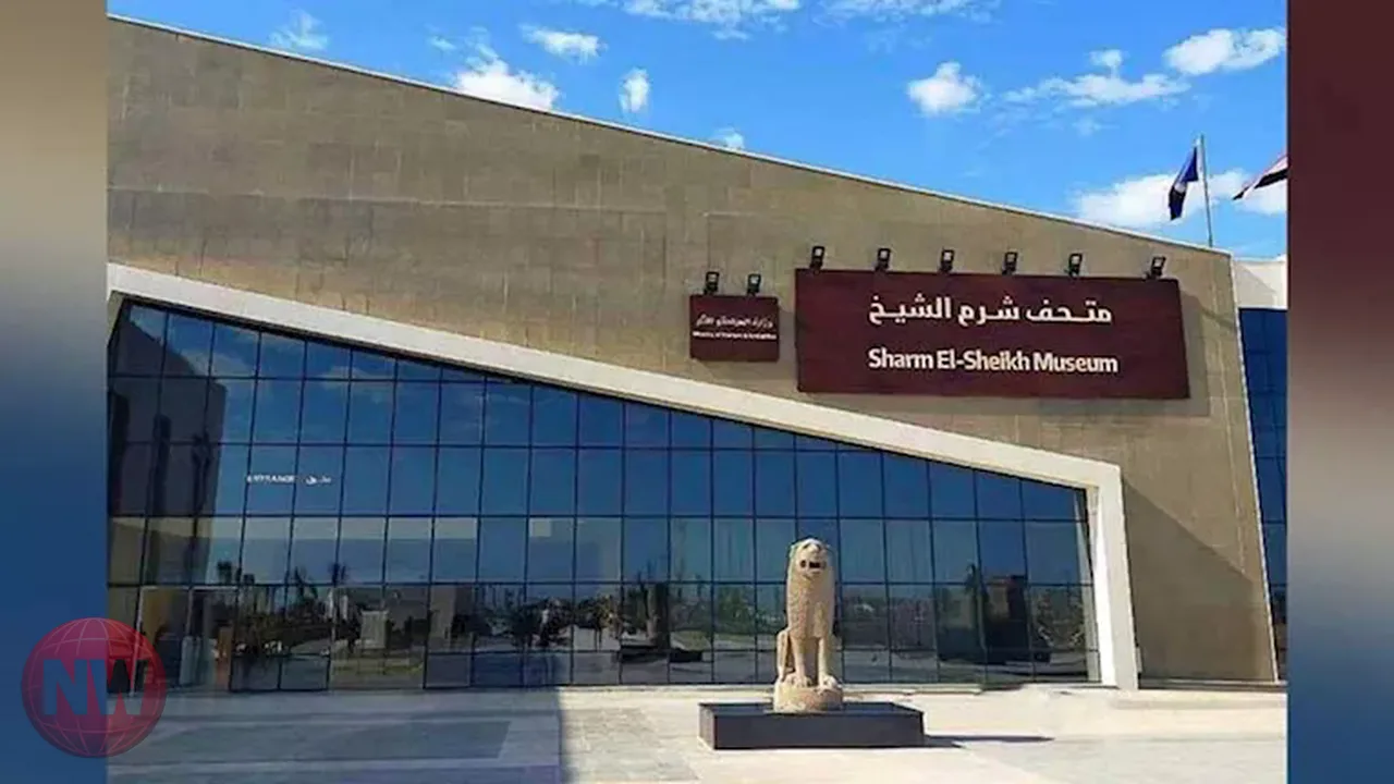 متحف شرم الشيخ يعرض جرة فخارية نادرة لحفظ الحبوب