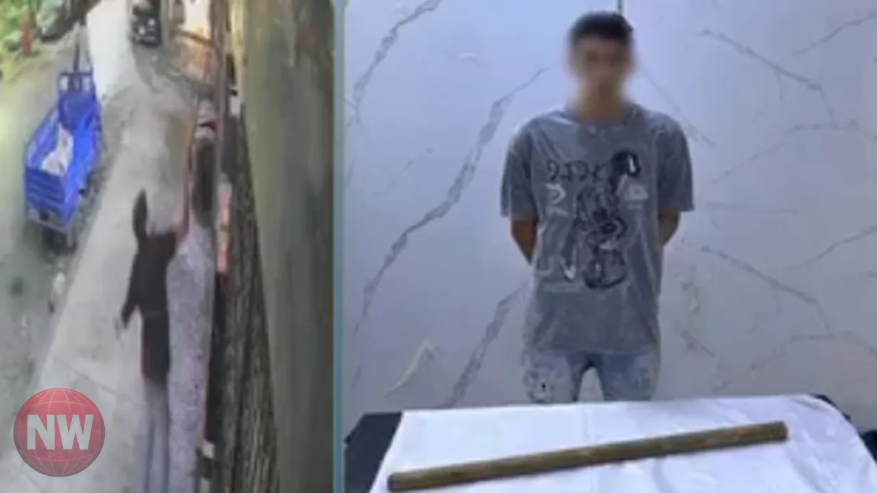 ضبط عامل حطم كاميرات عقار سيدة في منطقة البساتين