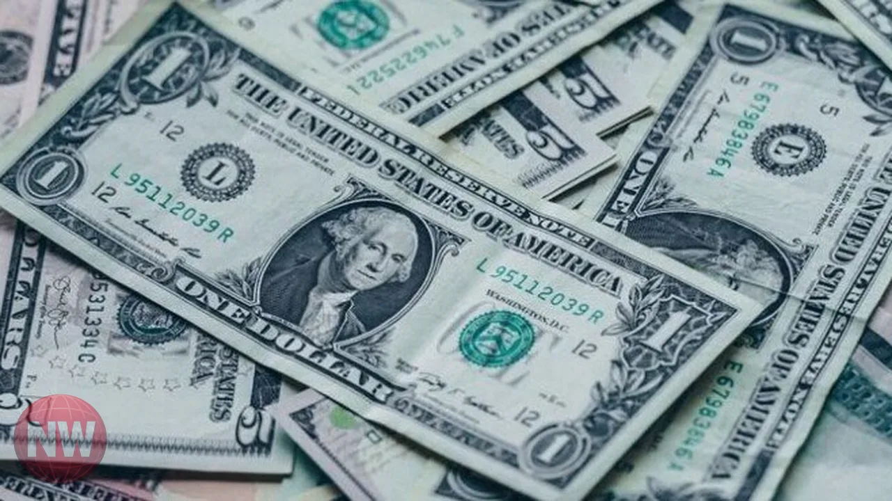 استقرار أسعار الدولار في البنوك المصرية اليوم