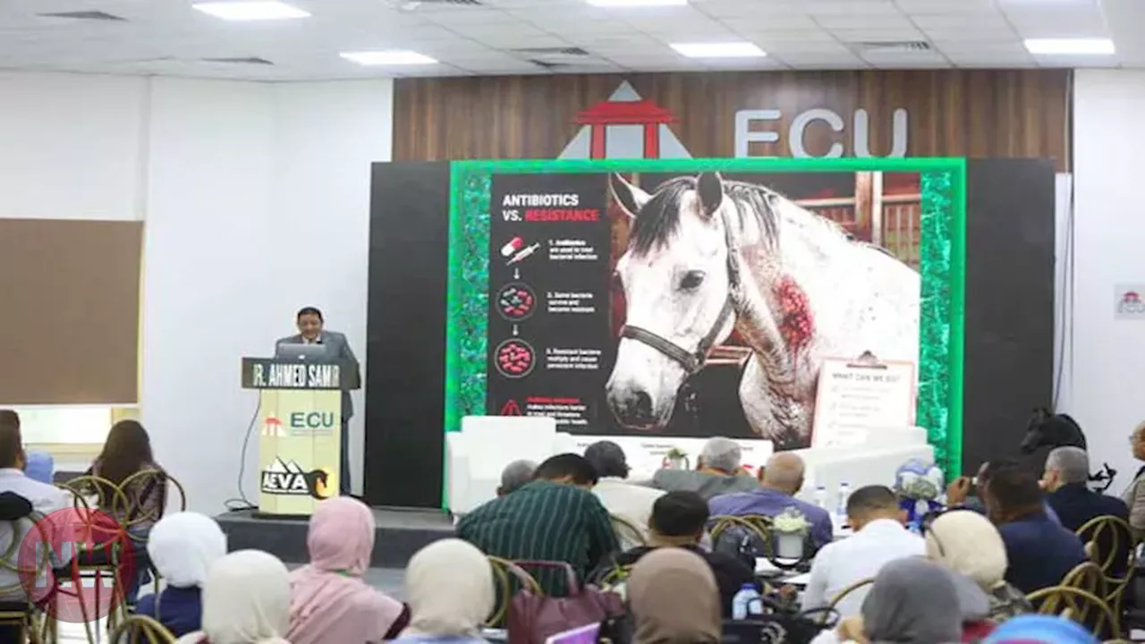 انطلاق المؤتمر الرابع لطب الخيول بمشاركة أكاديمية