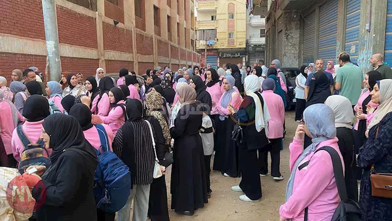 انتظام الدراسة في مدارس كفر الشيخ للعام الدراسي الجديد