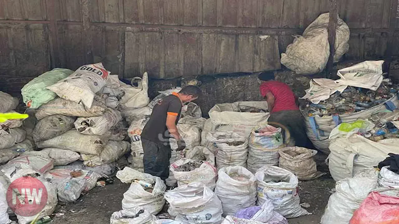 أسعار خامات إعادة التدوير في مصر: البلاستيك والمعادن