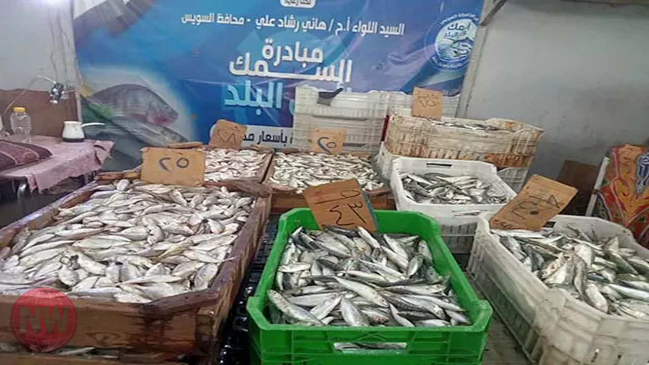 توسع مبادرة السمك لأهل البلد في منافذ تموين السويس