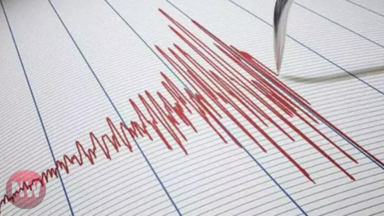 تفاعل نجوم الفن مع الهزة الأرضية الأخيرة
