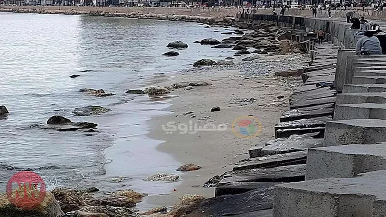 علوم البحار يوضح أسباب انحسار مياه البحر بالإسكندرية