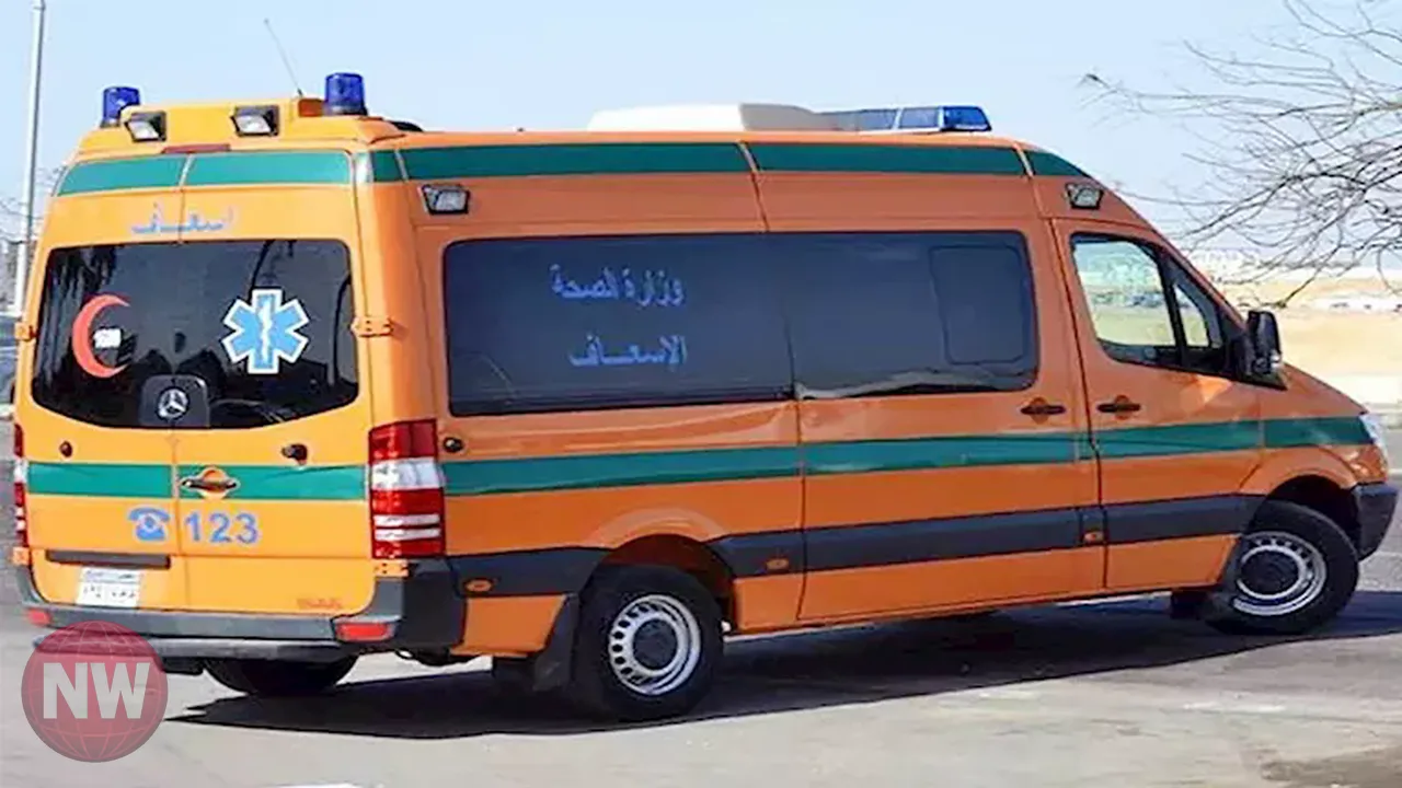 مصرع سيدة صدمها قطار في مركز الواسطى ببني سويف