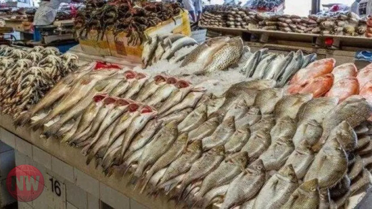 أسعار الأسماك في سوق العبور اليوم الأحد 25 أكتوبر