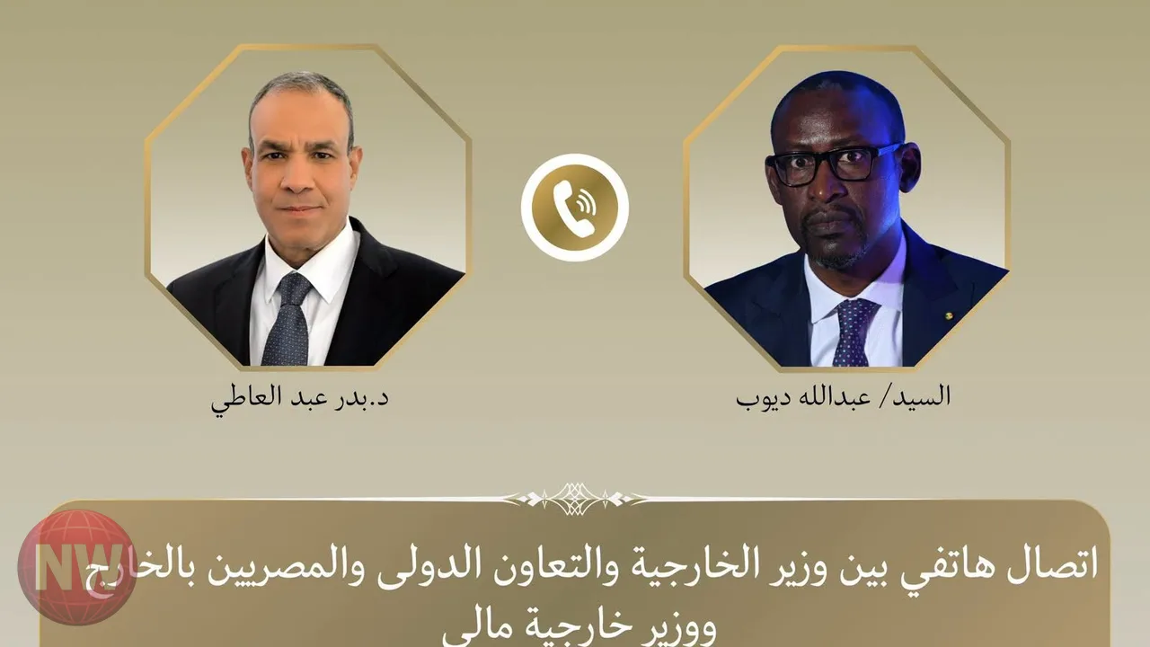 مباحثات مصرية مالية لتعزيز التعاون وأمن الساحل