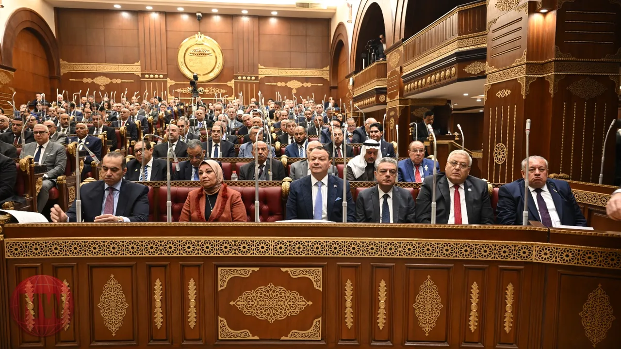 مقترح برلماني لتقييم الأثر الاقتصادي للقوانين بمصر