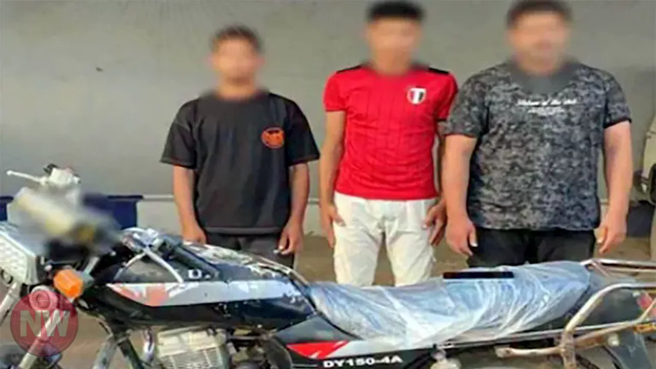 ضبط عاطلين سرقا هاتف فتاة في مركز أشمون بالمنوفية