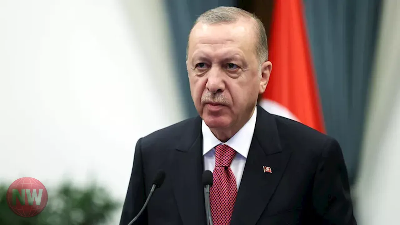 أردوغان يحدد أولويات تركيا في قمة الدول التركية