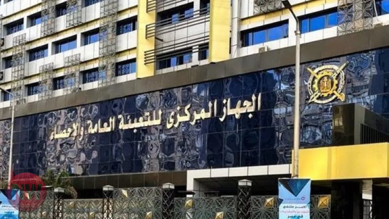الإحصاء: 21.5 مليون شاب في مصر بنسبة 19.8% من السكان