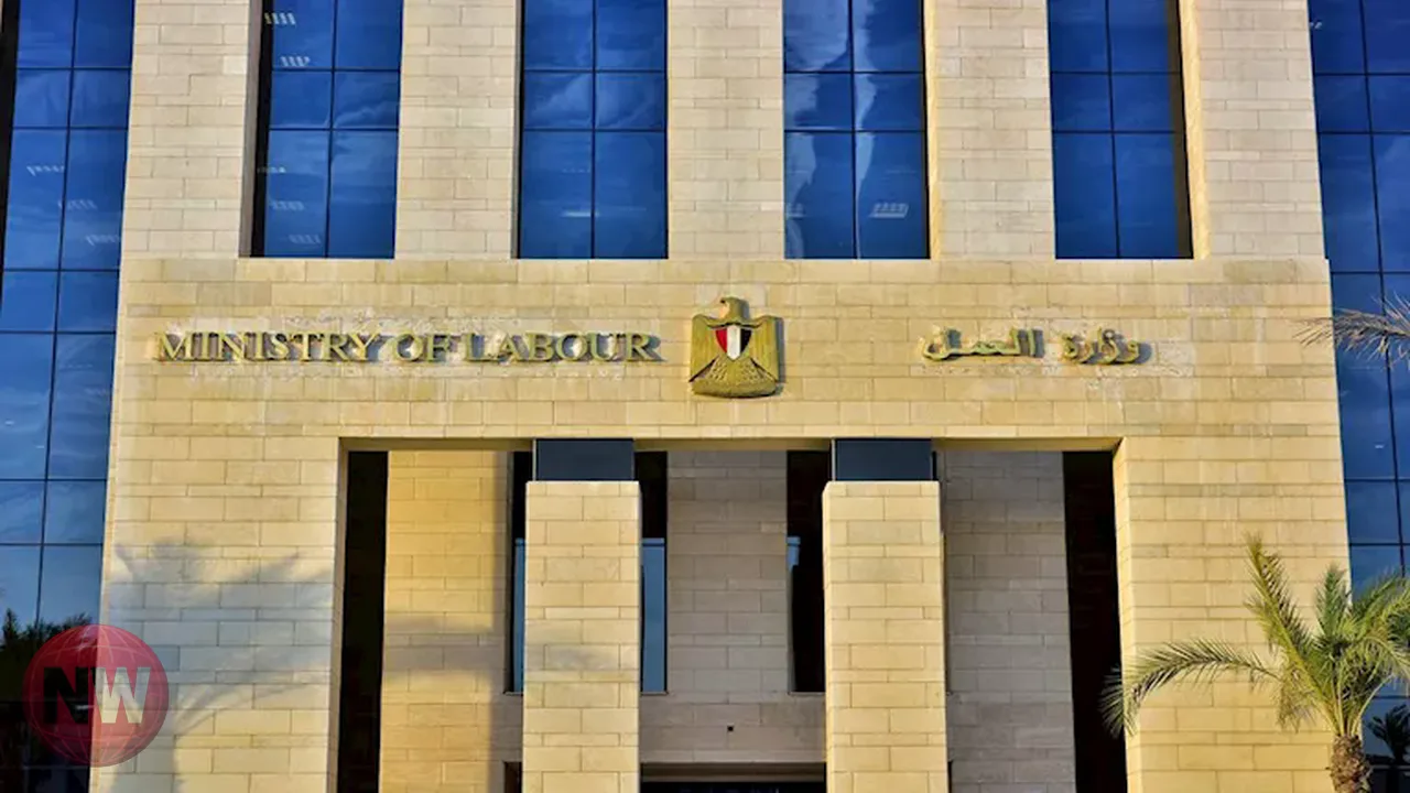 وزارة العمل توفر 3032 فرصة عمل بـ 9 محافظات