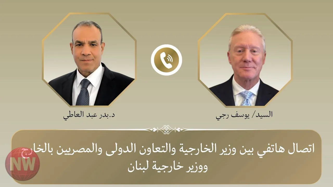 مصر تطالب بوقف الاعتداءات الإسرائيلية على لبنان