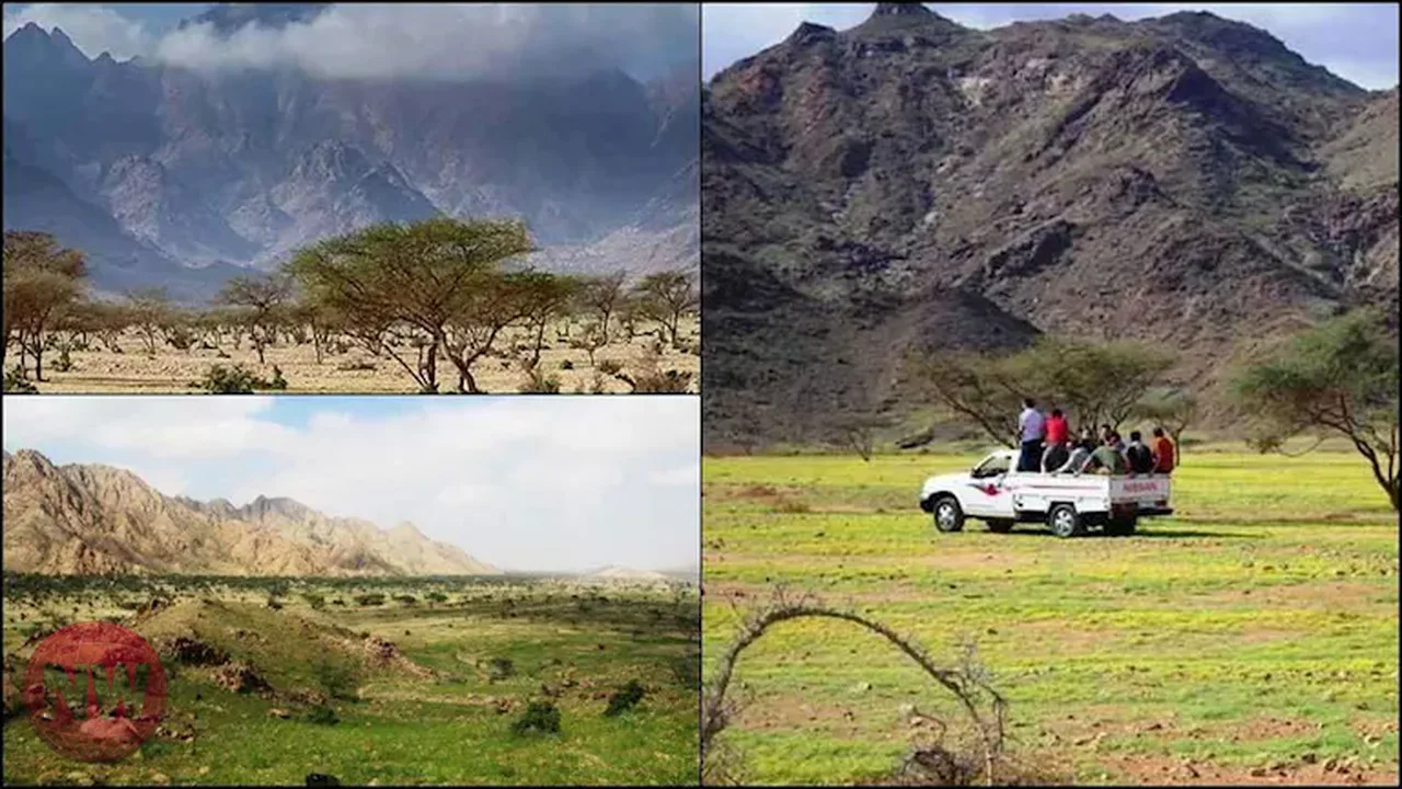 محمية جبل علبة: تنوع بيئي فريد جنوب شرق مصر