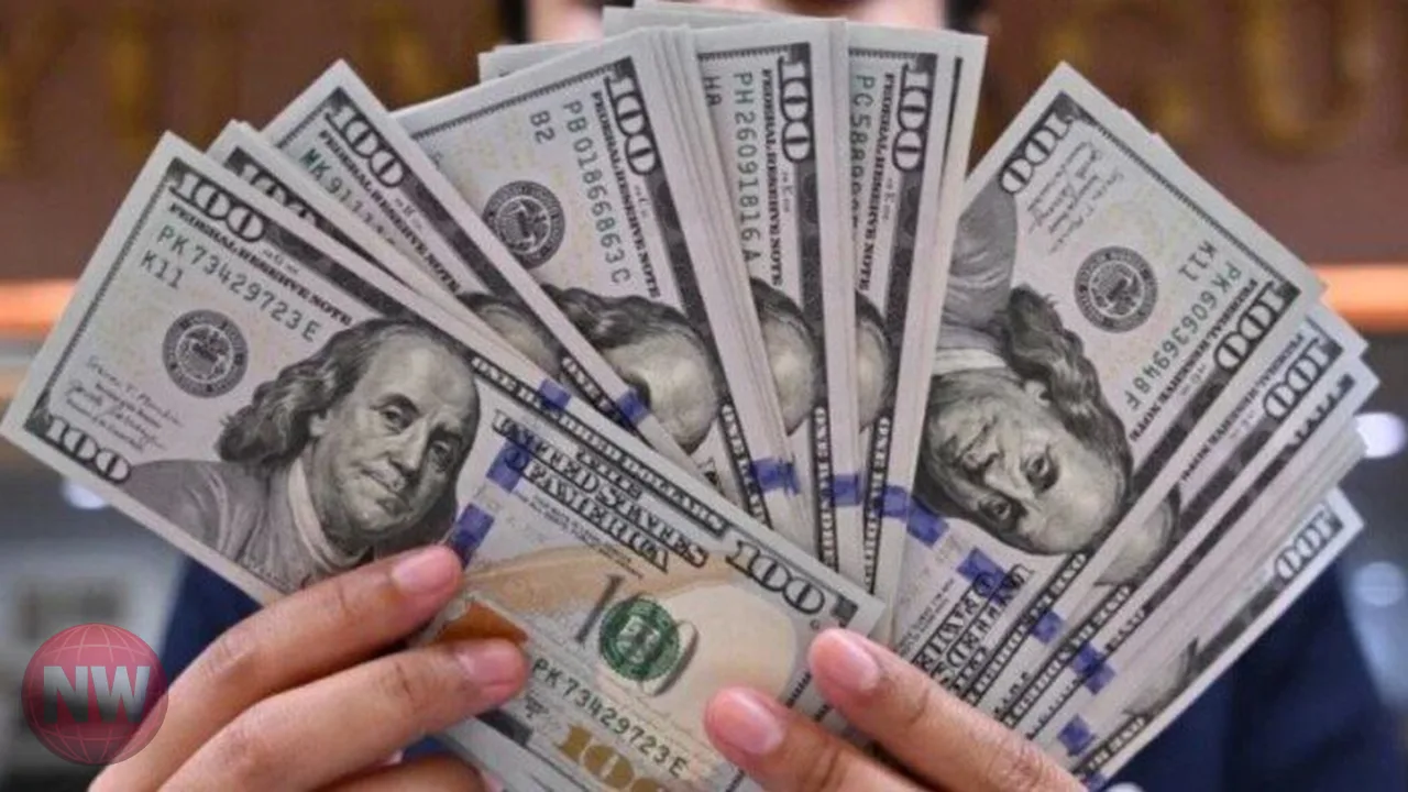 استقرار سعر الدولار أمام الجنيه اليوم 3 أكتوبر