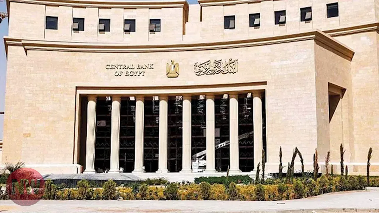 مستقبل تدخل المركزي المصري في سوق الصرف