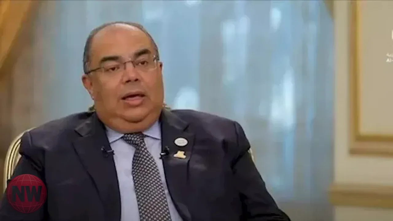 محيي الدين: ارتفاع الفائدة يفاقم أعباء ديون الدول