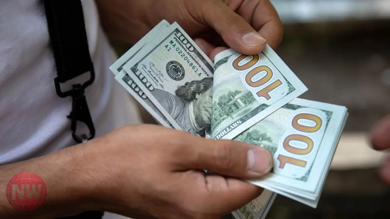 الدولار يتجاوز حاجز الـ 51 جنيهاً في تعاملات البنوك المصرية