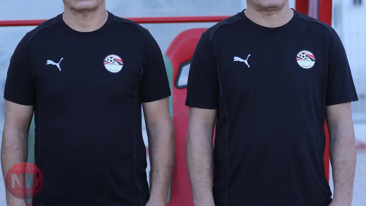 فيفا يوقف حسام وإبراهيم حسن 3 مباريات دولية
