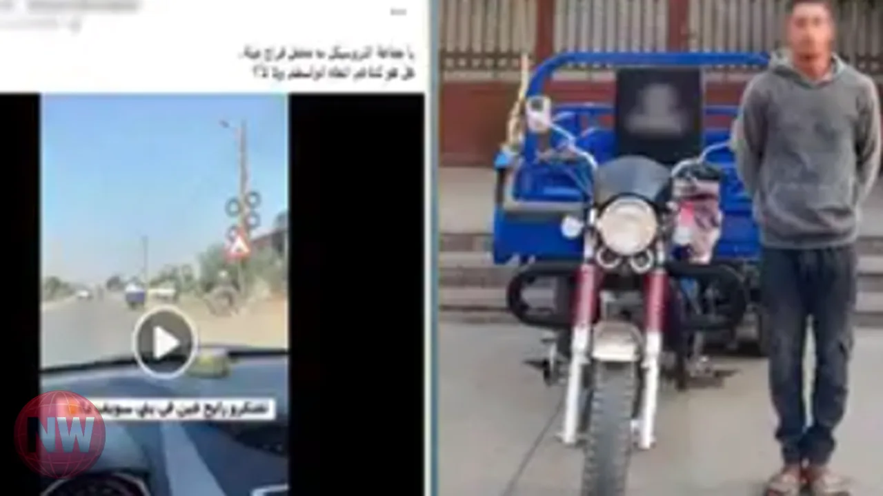 ضبط قائد تروسيكل ينقل دواجن نافقة في بني سويف