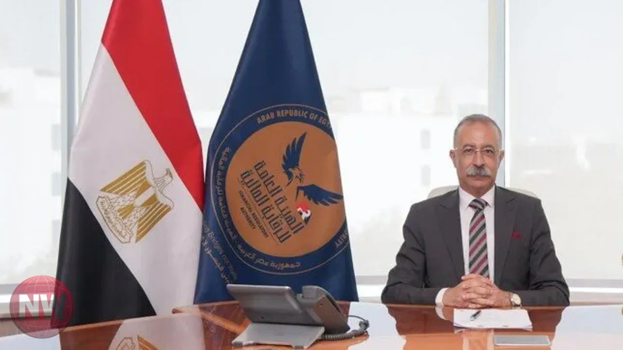 تعيين طارق سيف نائباً لرئيس هيئة الرقابة المالية