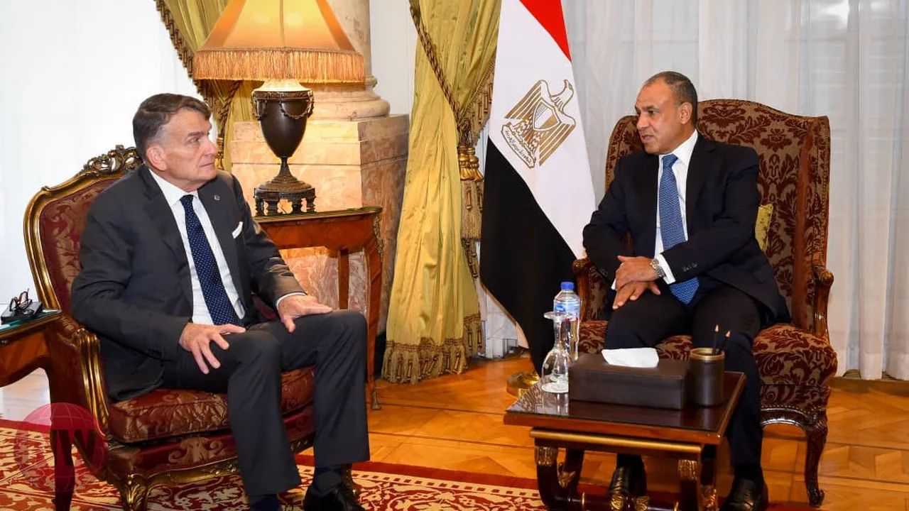 مصر تؤكد ضرورة تمكين الأونروا من مهامها الإنسانية