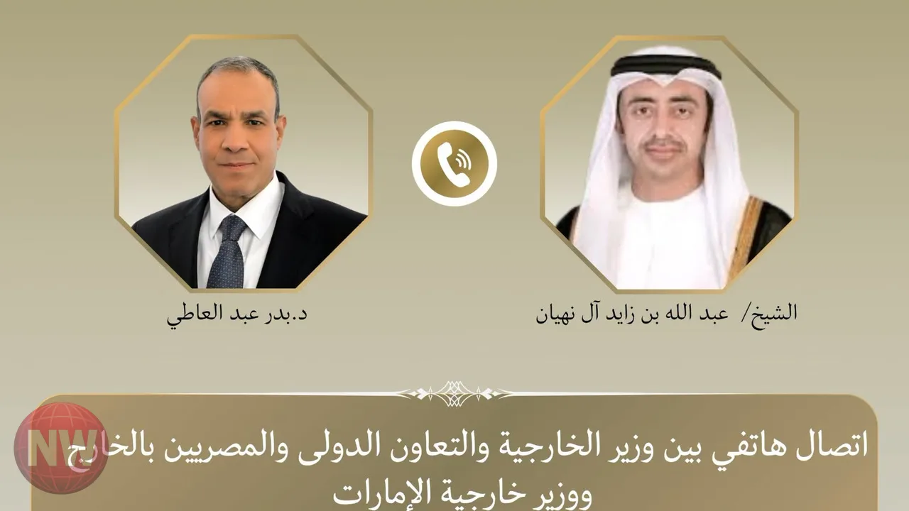 مباحثات مصرية إماراتية حول تطورات الأوضاع الإقليمية