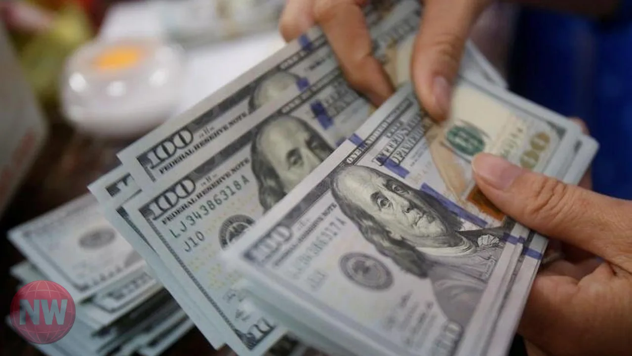 سعر الدولار مقابل الجنيه المصري في تعاملات 19 أكتوبر