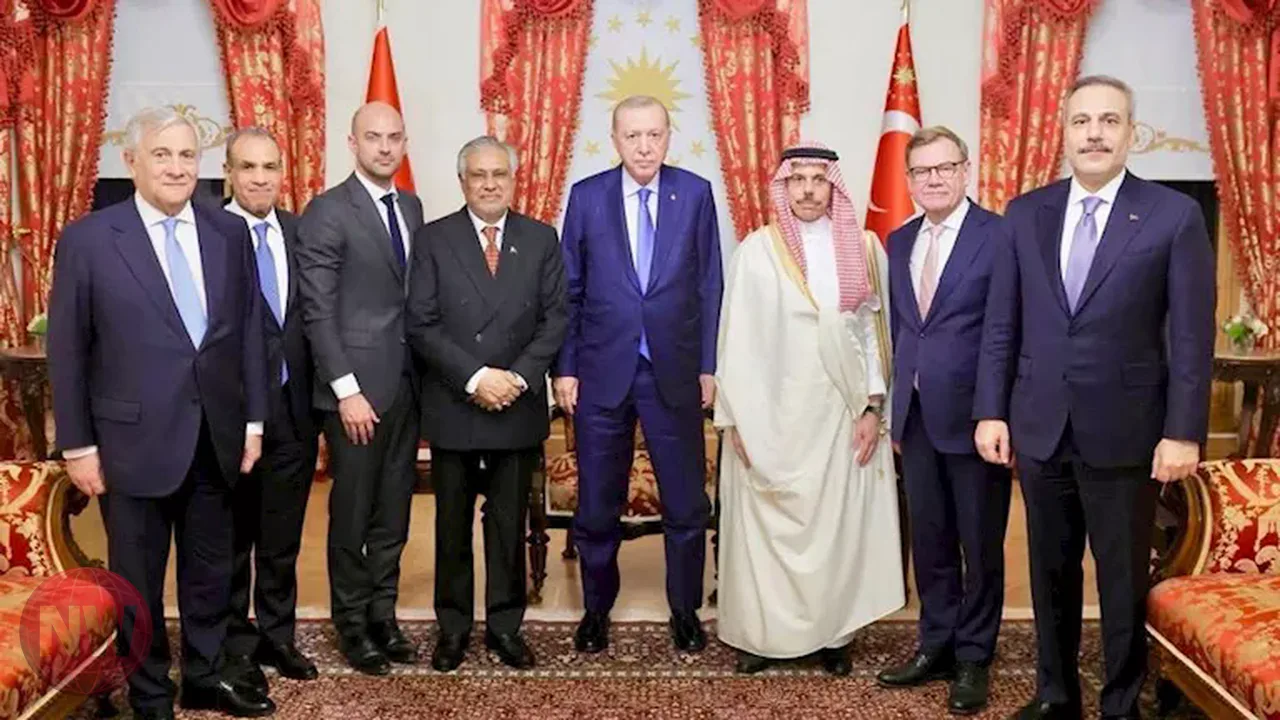 مصر تؤكد في إسطنبول رفضها تهديد الملاحة الدولية