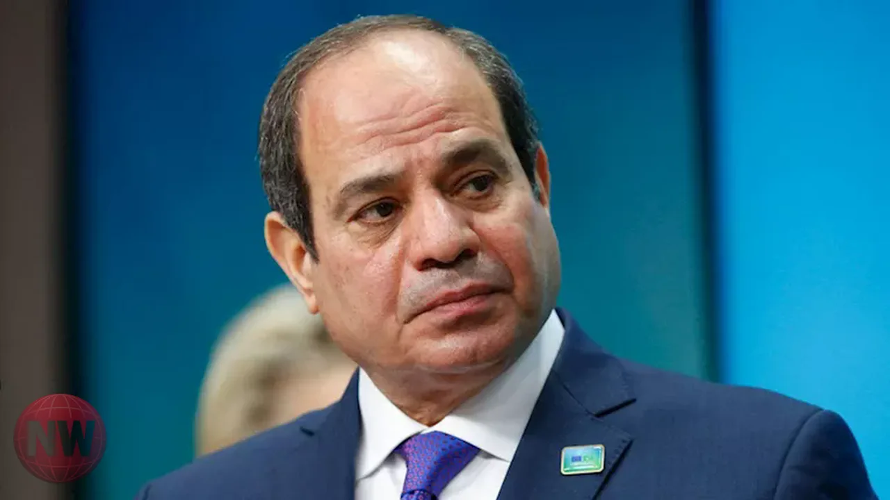 السيسي يشدد على الالتزام بجدول تنفيذ محطة الضبعة