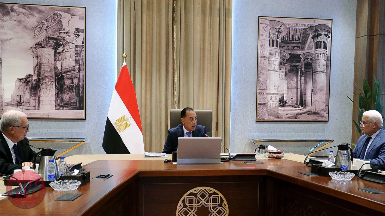 مدبولي يتابع تسوية مديونيات الغزل والنسيج والتأمينات
