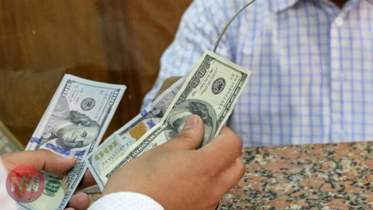 استقرار سعر الدولار مقابل الجنيه المصري اليوم