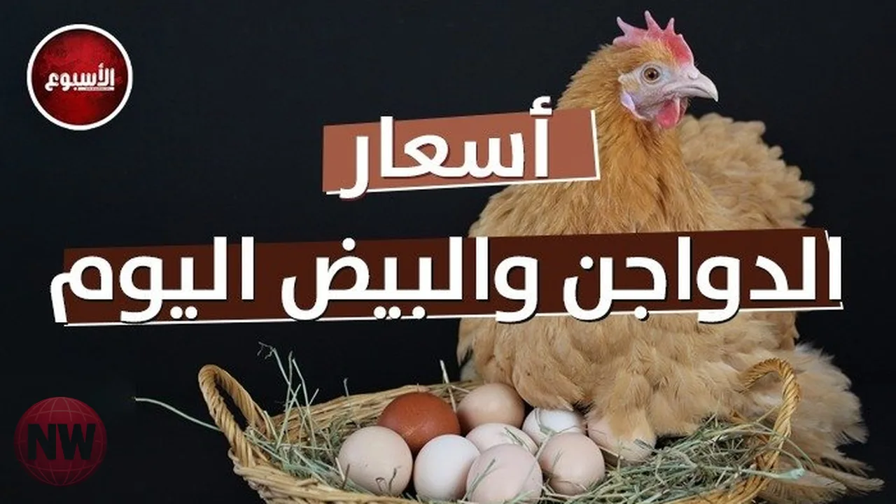 استقرار أسعار الدواجن والبيض في الأسواق اليوم