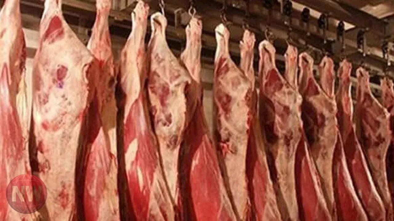 تحذيرات من ارتفاع مرتقب في أسعار اللحوم بالسوق المصرية